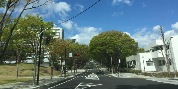 地域